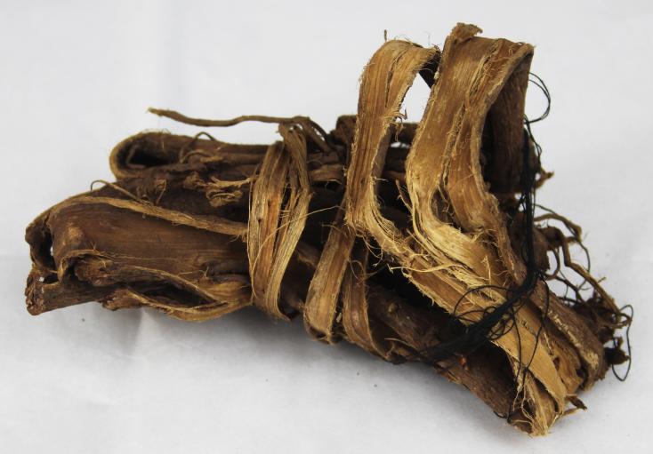 Dandasa Organic Walnut Tree Peel Datun (Pack of 500g)