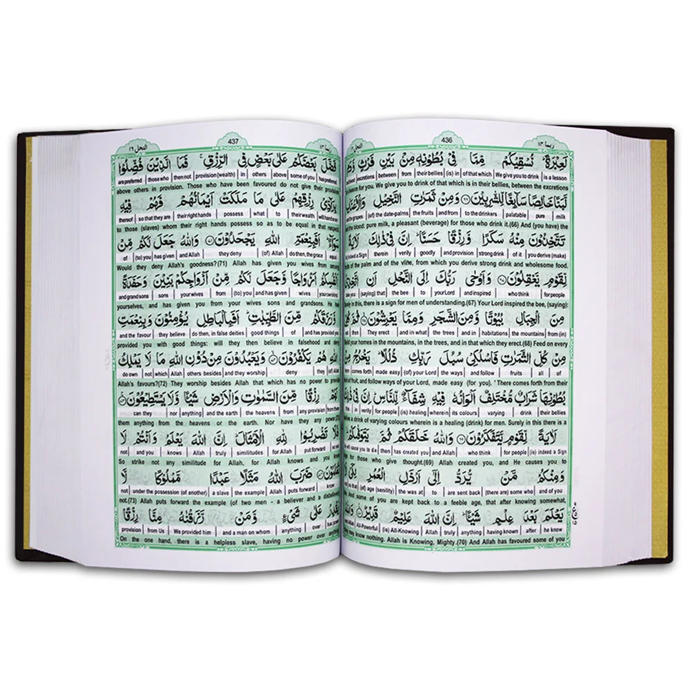 Taleem Ul Quran (English)Easy Quran