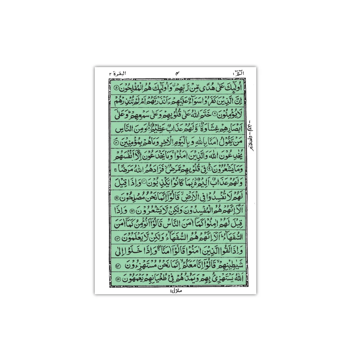 Holy Quran (15 Line Hafzi)