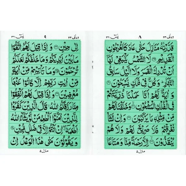 Sura Yaseen Bold(Purfeum)