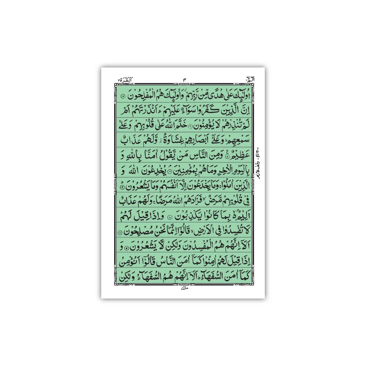 Hamail Sharif With Purs