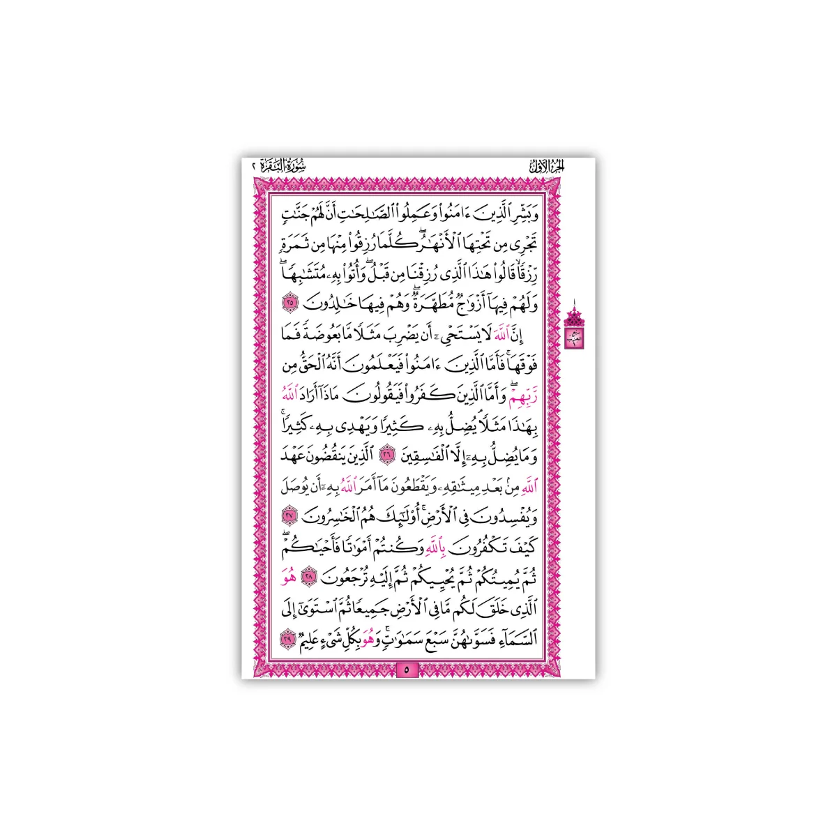 Holy Quran Usmani Script A5