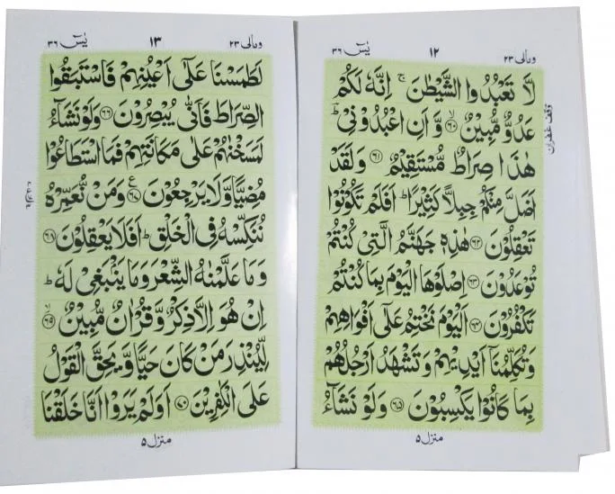 Sura Yaseen Bold 16 Pages