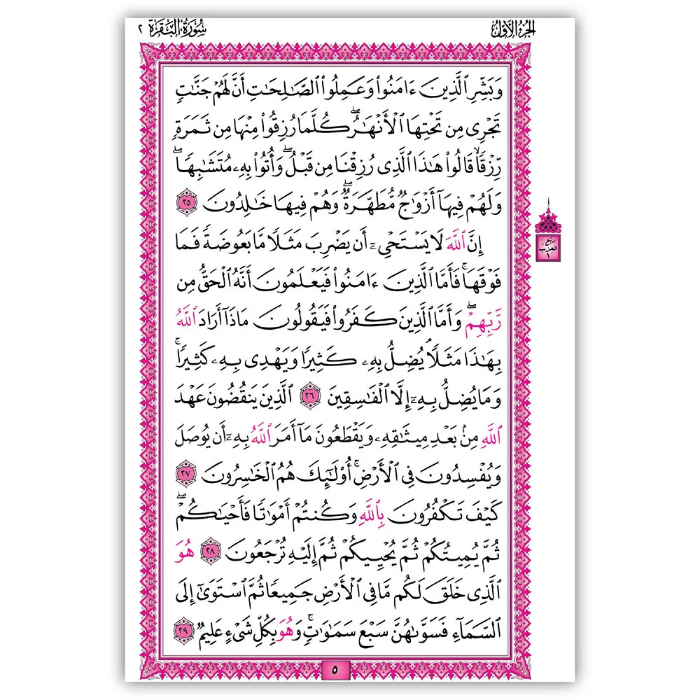 Para Set Card Purs
