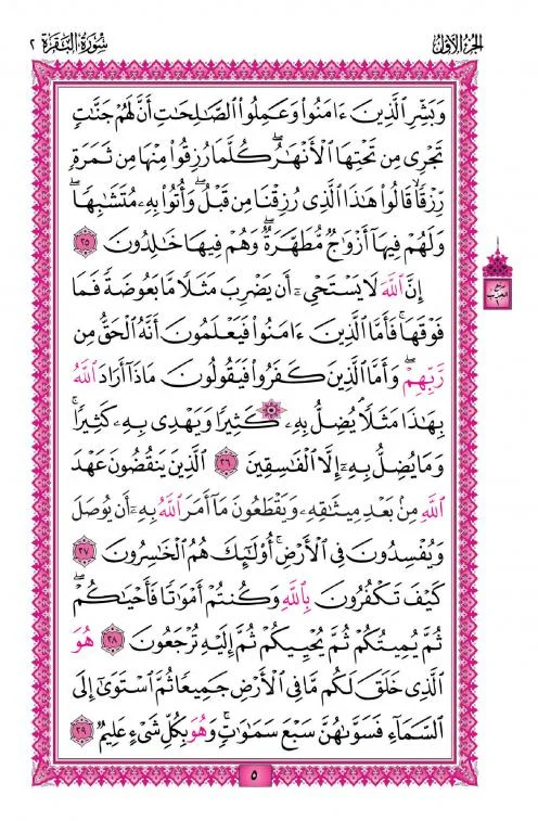 Para Set Card Purs