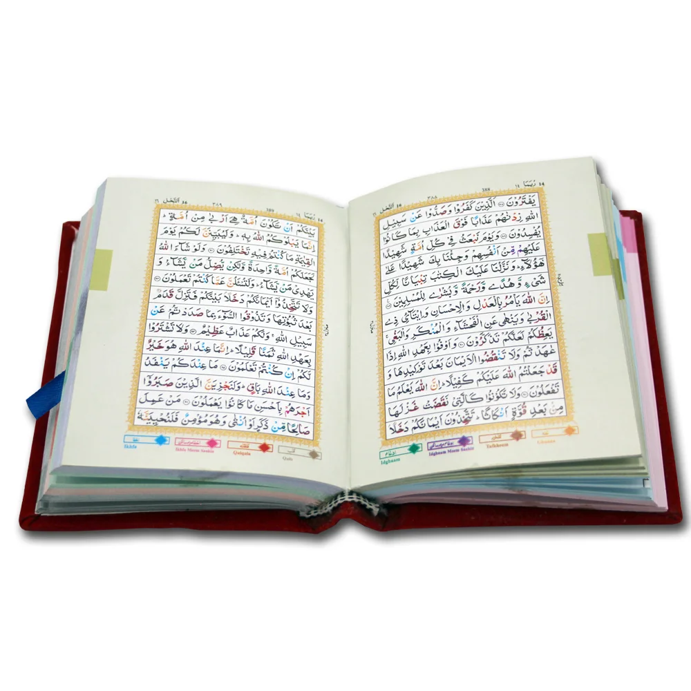 Holy Quran Tajweedi Shaneel