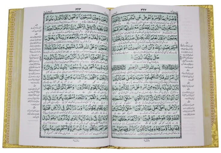 Holy Quran Ashraf Ali Thanvi Urdu