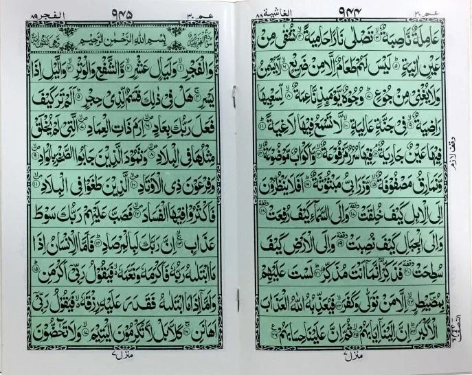 Para 30 (11 Line Bold Font)