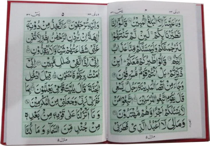 Soora Yaseen VELVET MIX CLRs