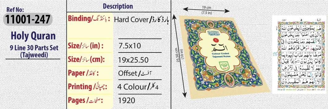 Para set 9 line Colour Coded Card