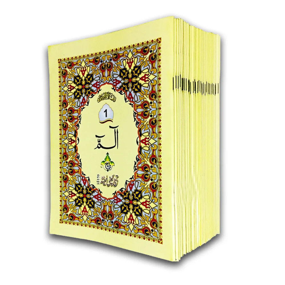 Holy Quran(Para Set)1920 Pages Bold
