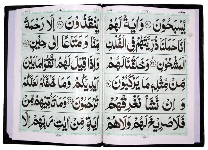 soora yaseen (bold font)32 Pages