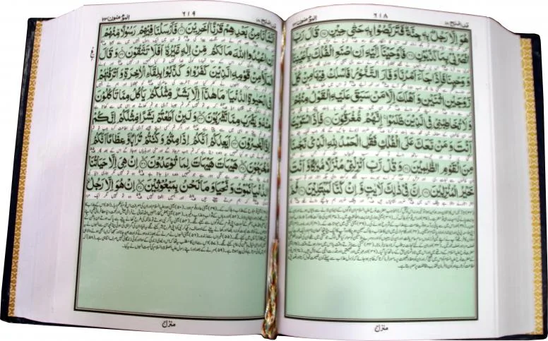 Holy Quran Translated