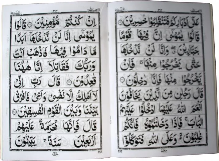 para 6 64pages bold