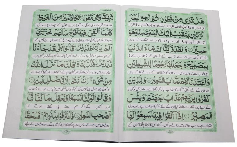 Sura Mulk Translated
