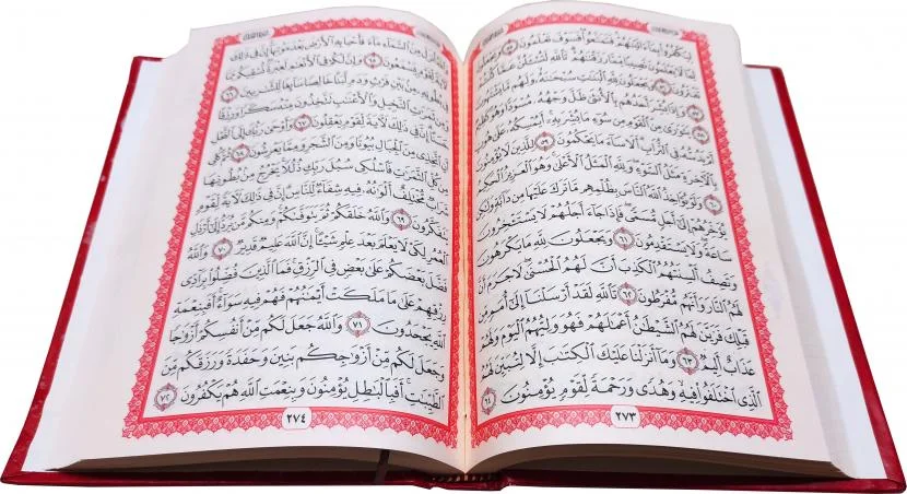 Holy Quran Usmani Script A4