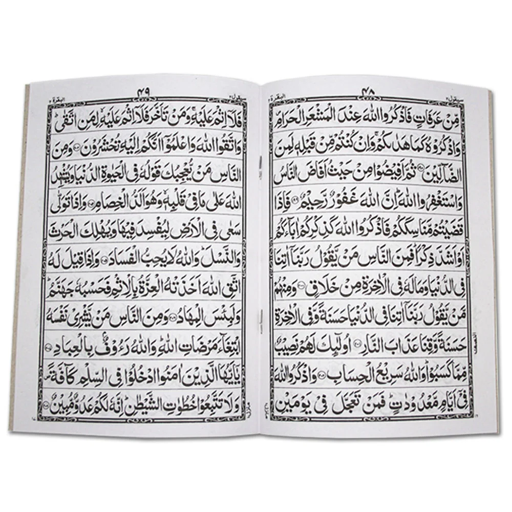 Sipara Set(11 Line Bold Center Pin)