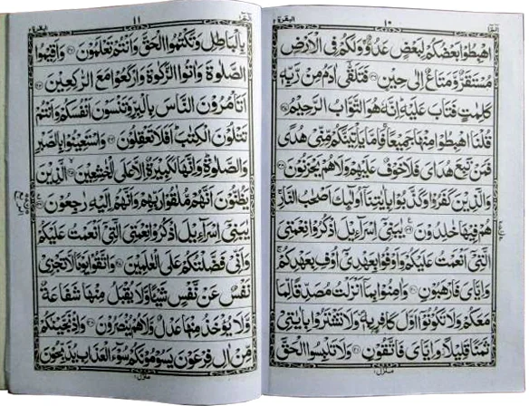 Sipara Set(11 Line Bold Center Pin)