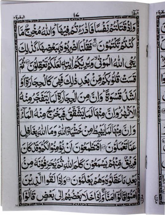 Sipara Set(11 Line Bold Center Pin)
