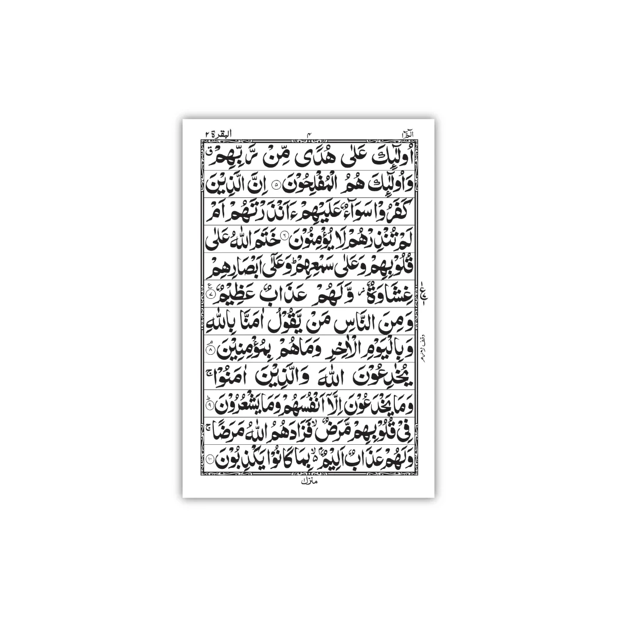 HOLY QURAN (12 LINE)1100 Page