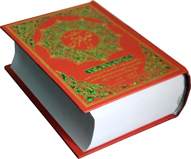 Tafseer Taleemul Quran(Urdu)