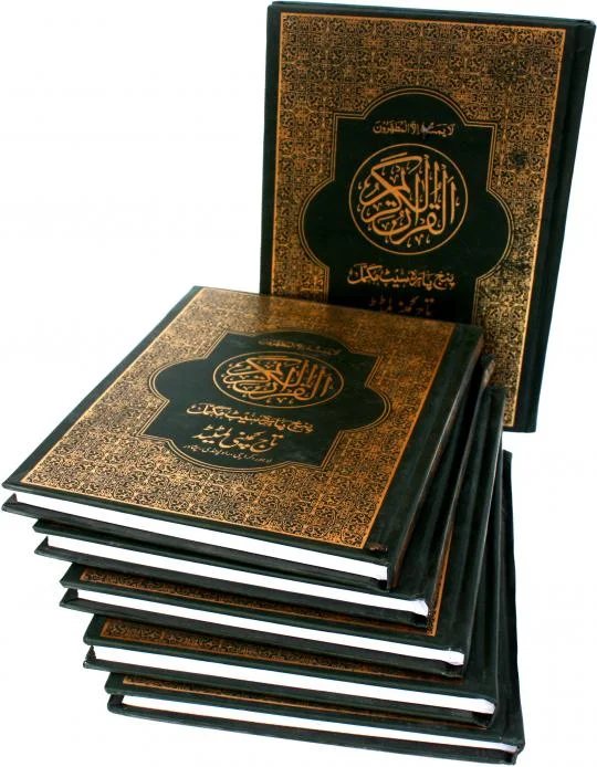 Punj Para Set(11 Line)