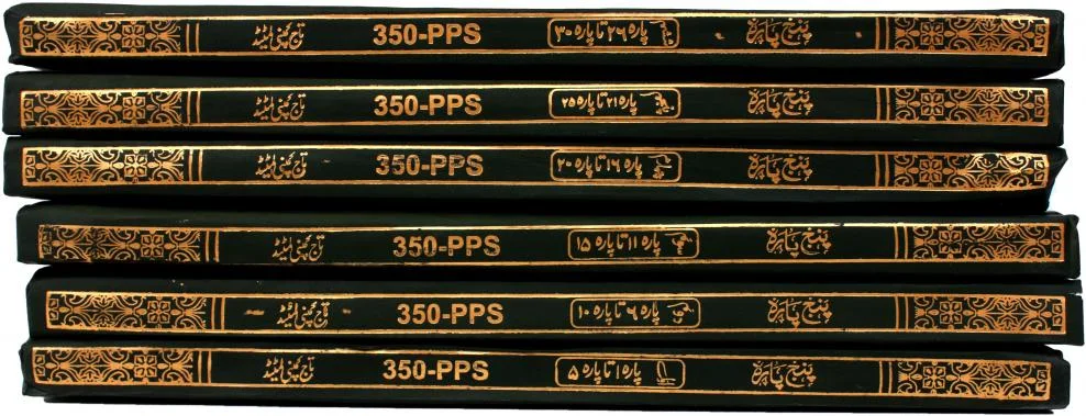Punj Para Set(11 Line)
