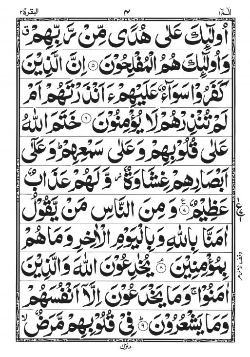 Punj Para Set(11 Line)