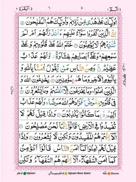 Holy Quran Tajweedi 13 Line Hafzi(UK)
