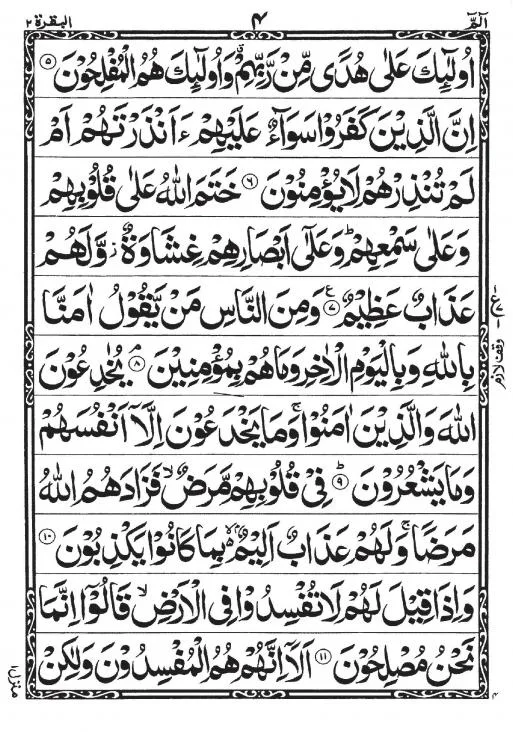 Holy Quran 11Line(Golden Purs)