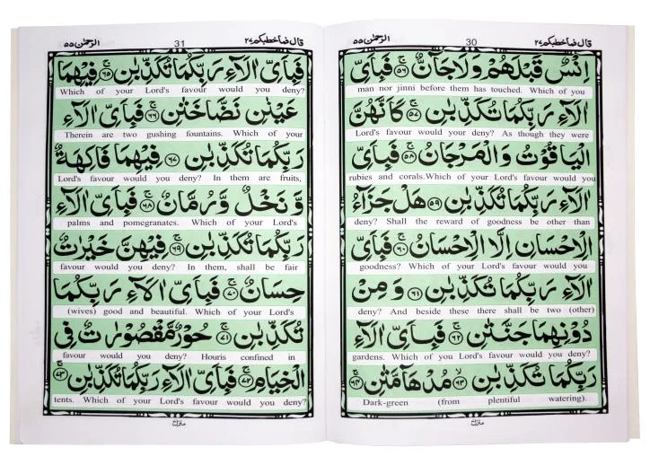 Panjsoora English
