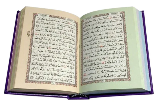 Usmani Script Rainbow Quran 8x12cm
