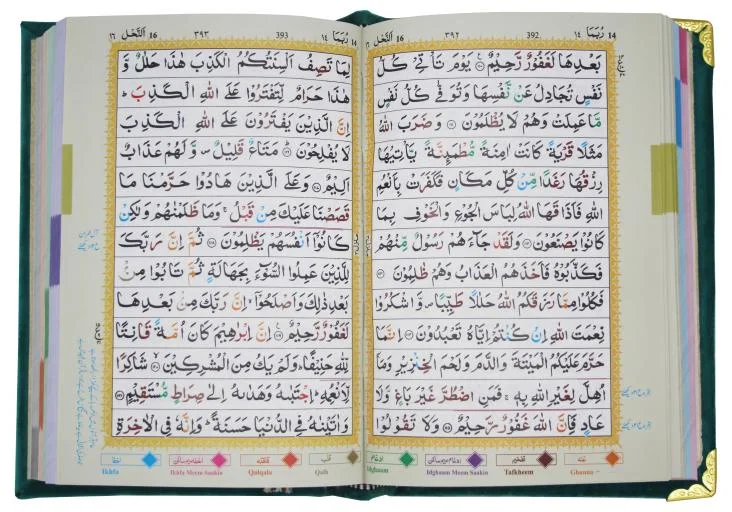 Holy Quran 13 Line with Velvet Box Turquise
