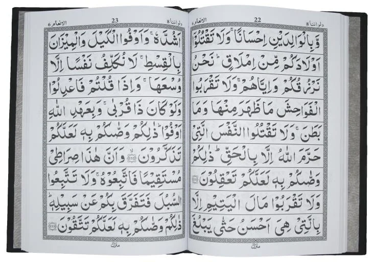 Panjpara 6-10(9 Line)