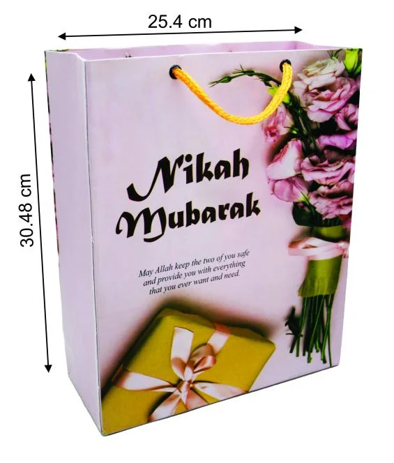 (10pcs) Shopping Paper Gift bag Fancy 12x10x3.5