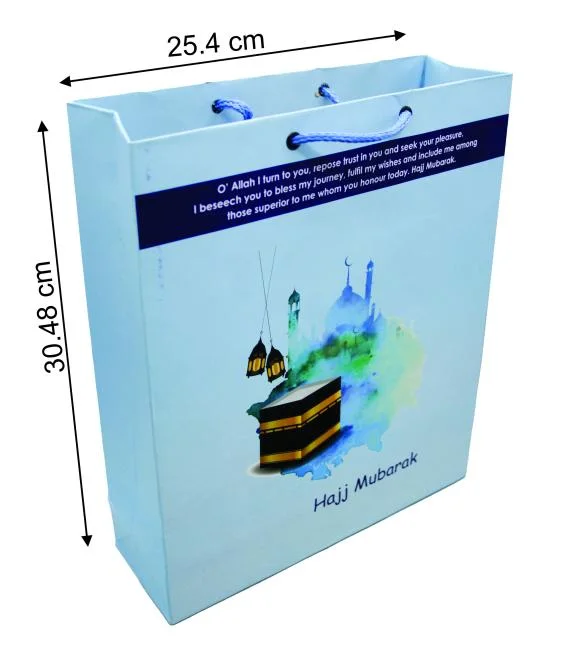(10pcs) Shopping Paper Gift bag Fancy 12x10x3.5