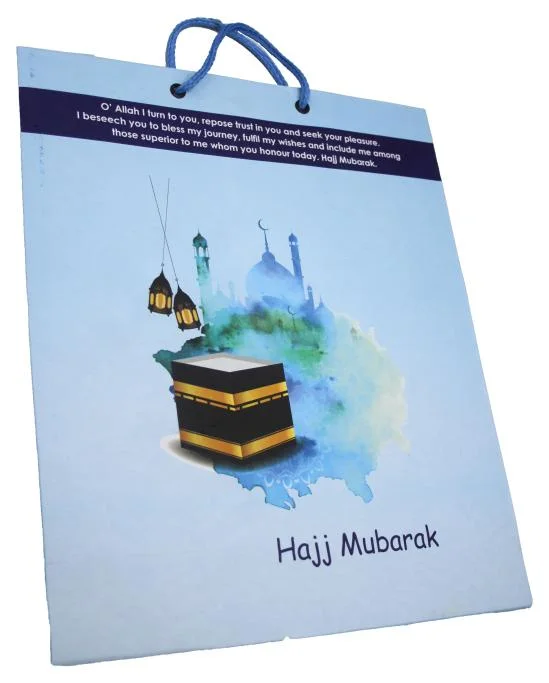 (10pcs) Shopping Paper Gift bag Fancy 12x10x3.5