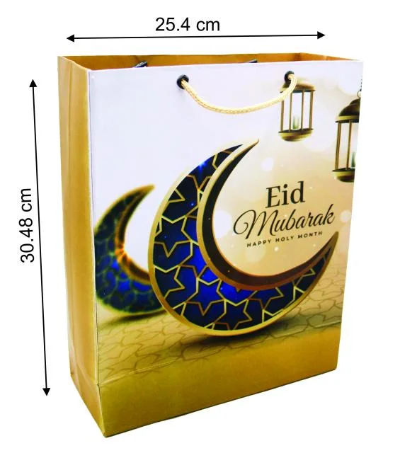 (10pcs) Shopping Paper Gift bag Fancy 12x10x3.5