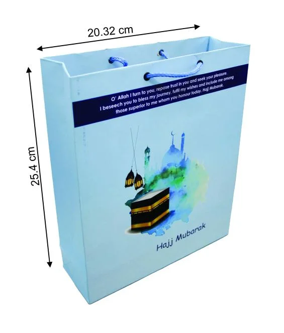 (10 Pcs) Shopping paper Gift bag fancy 10.5x8.5x3.5