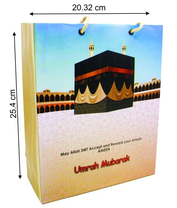 (10 Pcs) Shopping paper Gift bag fancy 10.5x8.5x3.5