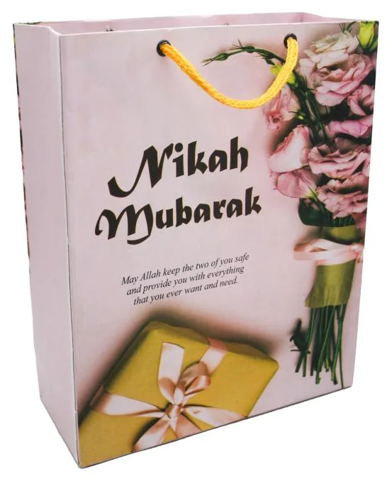 (10 Pcs) Shopping paper Gift bag fancy 10.5x8.5x3.5