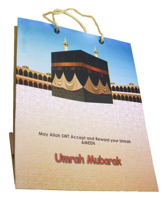 (10 Pcs) Shopping paper Gift bag fancy 10.5x8.5x3.5