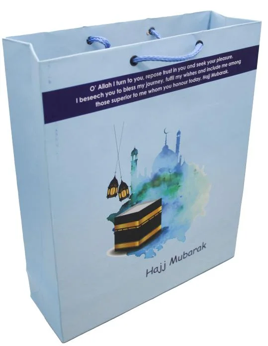 (10 Pcs) Shopping paper Gift bag fancy 10.5x8.5x3.5