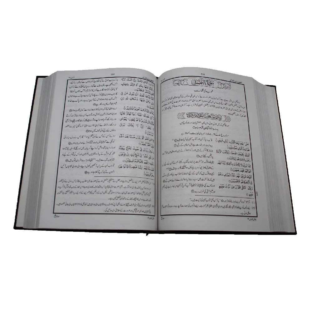Mukhtasar Bayan ul Quran Special Edition Dr Israr